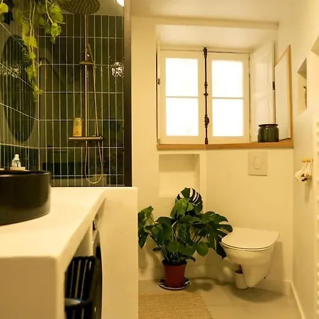 Apartment Chaleureux T2 En Hyper Centre De *